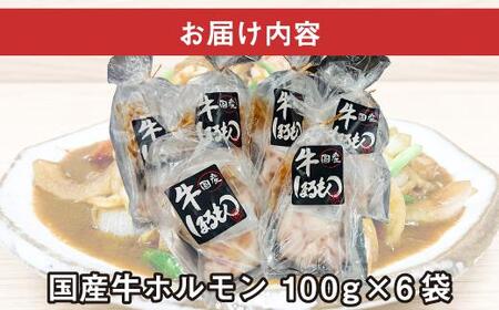 【ビールがすすむ】牛ホルモン（味噌だれ）6パック お肉の旨み弾力  おつまみ