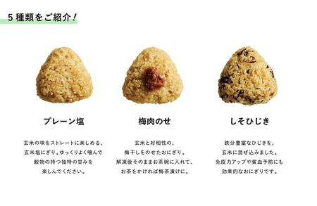冷凍玄米おにぎり詰め合わせ（10個セット） | 愛知県名古屋市