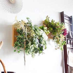 Botanical c.class 02　ホワイトウッド