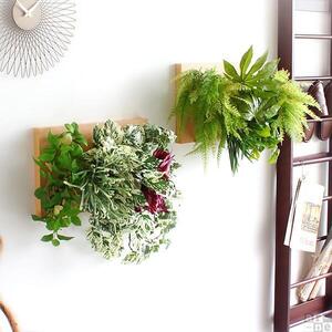 Botanical c.class 04　ブラウン