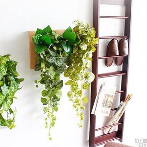 Botanical c.class 05　ホワイトウッド