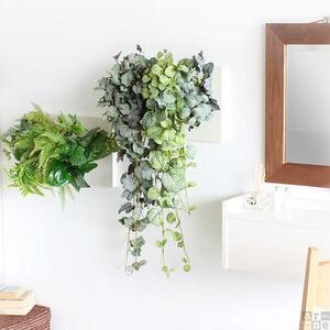 Botanical c.class 12　ダークブラウン