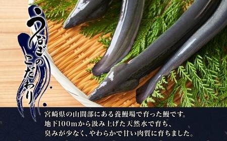 名古屋 うなぎのしら河 国産 鰻　ひつまぶし倶楽部１人前 蒲焼き 120g 国産 うなぎ 名物 櫃まぶし ウナギ お茶漬け ギフト お取り寄せ グルメ 送料無料 愛知県 名古屋市