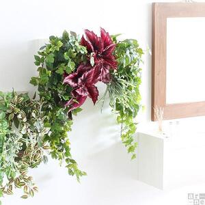 Botanical c.class 16　ホワイトウッド