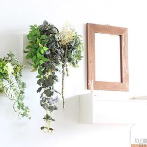 Botanical c.class 20　北欧チーク