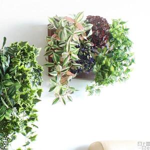 Botanical c.class 23　ホワイトウッド