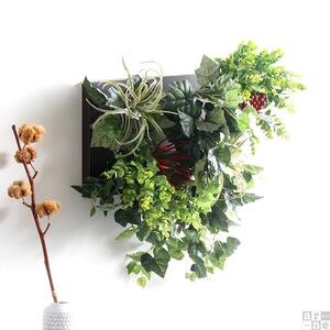 Botanical c.class 32　ホワイトウッド