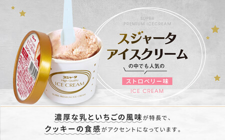 シンカンセンスゴイカタイアイス ストロベリー・クッキー入り 11個 