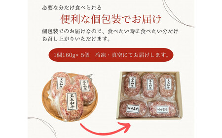 黒毛和牛100％ てごねハンバーグ 5個入り