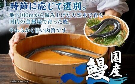 名古屋 うなぎのしら河 国産 鰻 ひつまぶし倶楽部４人前 蒲焼き 480g