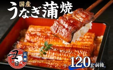 名古屋 うなぎのしら河 国産 鰻 蒲焼き 120g前後×1尾 タレ 山椒付