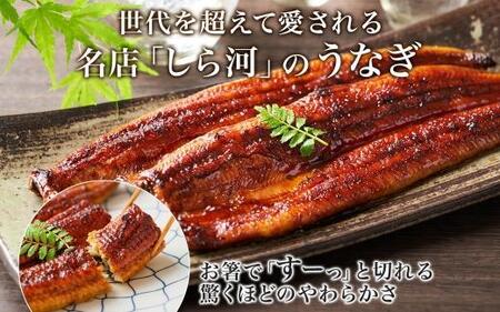 名古屋 うなぎのしら河 国産 鰻 蒲焼き 120g前後×1尾 タレ 山椒付 うなぎ ウナギ かばやき 鰻丼 うな重 鰻重  お中元 お歳暮 ギフト 送料無料 愛知県 名古屋市