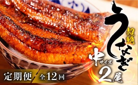 ふるさと納税 愛知県 豊橋市 豊橋の生産者さんが育てた『超絶