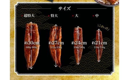 超絶うなぎ蒲焼 中2尾 定期便 12回 うなぎ