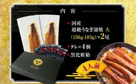 超絶うなぎ蒲焼 大2尾 定期便 12回 うなぎ
