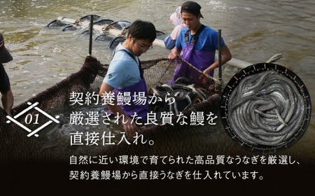 超絶うなぎ蒲焼 大2尾 定期便 12回 うなぎ