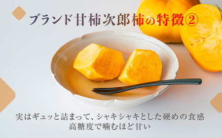 ≪先行予約 2026年発送≫ 次郎柿 ご自宅用 5kg 訳あり 不揃い (15～25玉) 柿