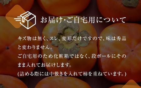 ≪先行予約 2026年発送≫ 次郎柿 ご自宅用 5kg 訳あり 不揃い (15～25玉) 柿