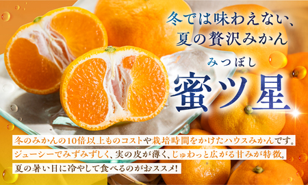 ≪先行予約≫ 濃厚ハウスみかん『蜜ツ星』秀品2kg(Lサイズ18玉)みかん