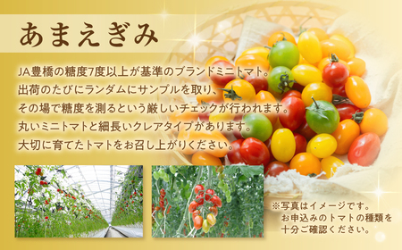 ≪先行予約≫ あまえぎみ クレア5色 トマト 1キロ 1kg