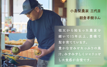 ≪2026年 先行予約≫ 朝倉さんの『小島梨』 3kg ~9玉 幸水 凛夏 秋麗 あきづき 甘太 なつしずく、あきあかり、ほしあかり、新品種、など 産地直送 梨 梨