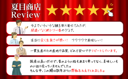 極上 豊橋 うなぎ 紅白3尾 うなぎ