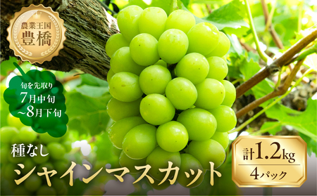 ≪先行予約 2026年発送≫ たっぷり1.2kg 豊橋産 皮ごと 種なし シャインマスカット300g×4 ブドウ ぶどう マスカット マスカット