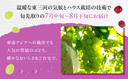 ≪先行予約 2026年発送≫ たっぷり1.2kg 豊橋産 皮ごと 種なし シャインマスカット300g×4 ブドウ ぶどう マスカット マスカット
