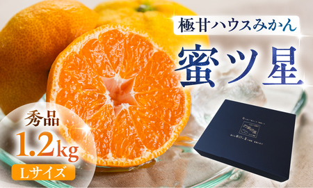≪先行予約≫ 濃厚ハウスみかん『蜜ツ星』秀品 1.2kg(Lサイズ10玉)みかん