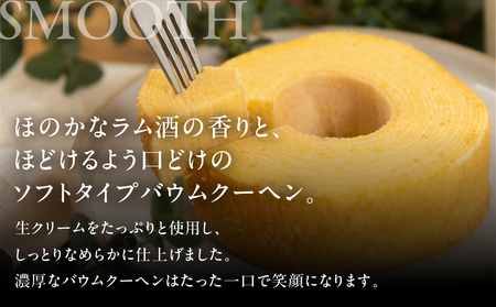 ハードとソフトのバームクーヘン2種食べ比べセットご自宅用 バームクーヘン バームクーヘン　                                                                                                      