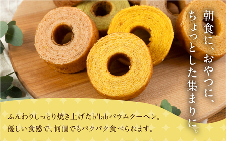 バームクーヘン ご自宅用 3kg (300g× 10袋 ) バームクーヘン バームクーヘン 　                                                                                                                               