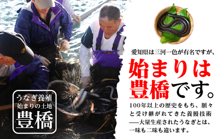  豊橋うなぎ 4尾 ~600g うなぎうなぎ