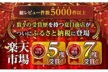 極上 豊橋うなぎ 蒲焼 6尾 ~900g  夏目商店のうなぎ / タレ付き 長焼きうなぎ うなぎの蒲焼 うなぎ専門店  国産うなぎ