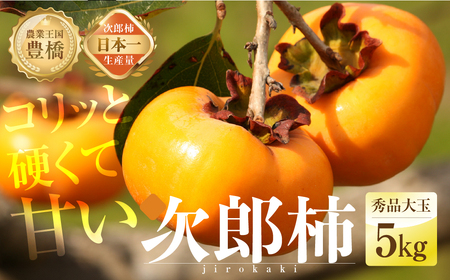 ≪先行予約 2026年発送≫ コリっと硬くて 甘い  次郎柿（秀品 大玉）５kg （15～20玉）柿