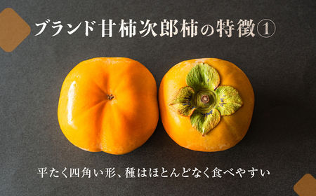 ≪先行予約 2026年発送≫ コリっと硬くて 甘い  次郎柿（秀品 大玉）５kg （15～20玉）柿
