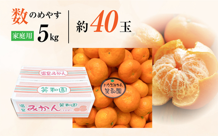 追加検討中 みかん（みかんアイコン）さん専用 ≪先行予約≫あまくてコクがある 笑和園 の ハウスミカン 家庭用 5kg