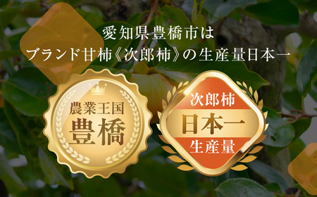≪先行予約≫次郎柿 ご自宅用 10kg 訳あり 柿