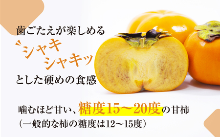 ≪先行予約≫次郎柿 ご自宅用 10kg 訳あり 柿
