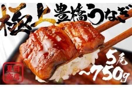 極上 豊橋うなぎ 蒲焼 5尾 ~750g 夏目商店のうなぎ / タレ付き 長焼きうなぎ うなぎの蒲焼 うなぎ専門店  国産うなぎ
