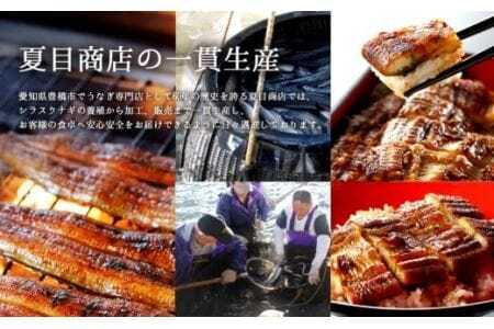 極上 豊橋うなぎ 蒲焼 5尾 ~750g 夏目商店のうなぎ / タレ付き 長焼きうなぎ うなぎの蒲焼 うなぎ専門店  国産うなぎ
