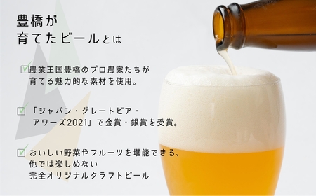 豊橋が育てたクラフトビール２種６本セット（女神のほほえみ・大人の初恋レモン）