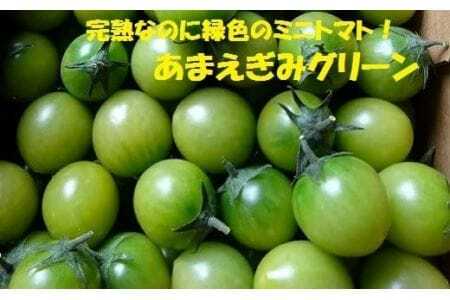 【先行予約】 農業王国豊橋の『トマト　あまえぎみグリーン』１kgバラ