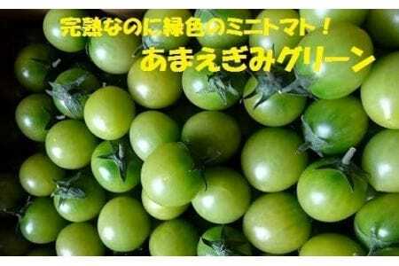 【先行予約】 農業王国豊橋の『トマト　あまえぎみグリーン』１kgバラ