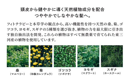 Waphyto シャンプー コンディショナー セット ナーチュア 250ml × 2