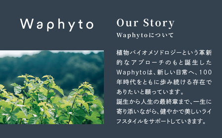 Waphyto シャンプー コンディショナー セット ナーチュア 250ml × 2