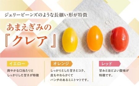 ≪先行予約≫あまえぎみ クレアイエロー トマト 1キロ 1kg たっぷり ミニトマト プチトマト トマト 高糖度 甘い  野菜 お弁当 サラダ ギフト リコピン 完熟 新鮮 ツヤツヤ おいしい お取り寄せ とまと 特産品 ブランド ブランドトマト 愛知県 豊橋市