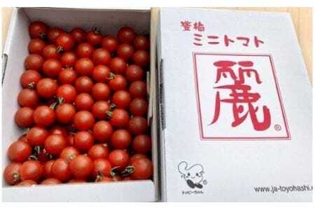 【先行予約】農業王国豊橋の『高糖度ミニトマト麗（れい）』１kgバラ
