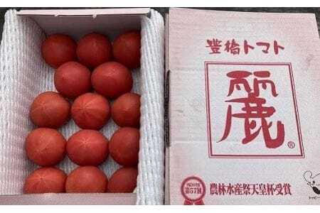 【先行予約】 農業王国豊橋の『高糖度トマト麗(れい)』1kg