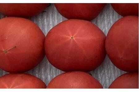 【先行予約】 農業王国豊橋の『高糖度トマト麗(れい)』1kg