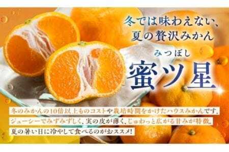 ≪今が旬!≫ 濃厚ハウスみかん『蜜ツ星』秀品1.2kg(Mサイズ12玉)みかん
